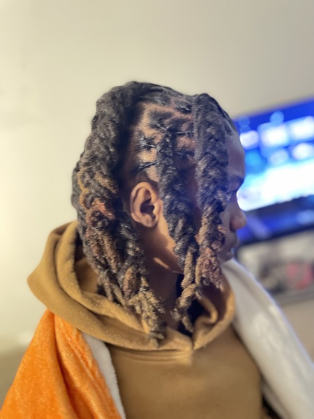 Braided+locs