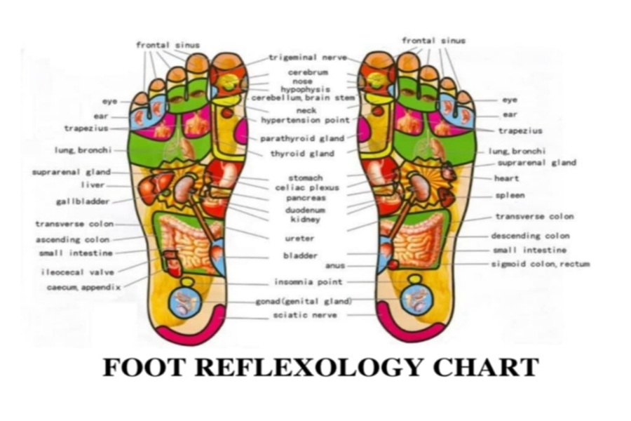 Image+by+https%3A%2F%2Fwww.maineddc.org%2Fimages%2FPDFs%2FFOOT-REFLEXOLOGY-CHART.pdf