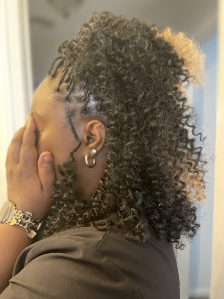Havana+curly+braids